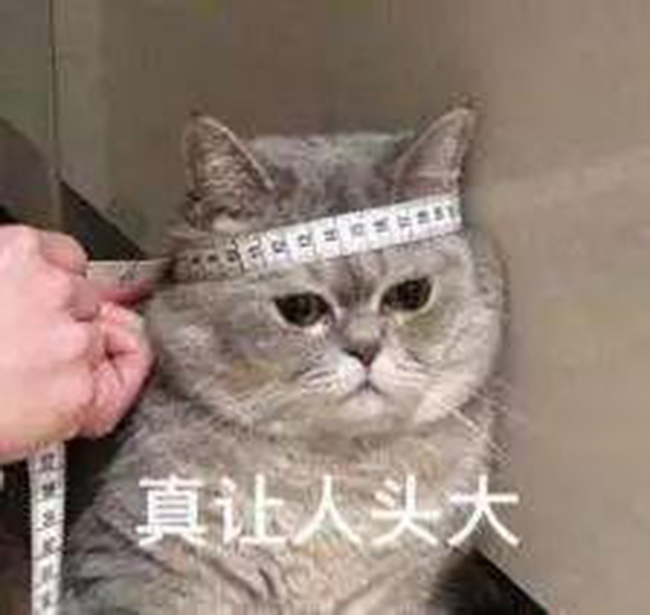 無人警務(wù)自助終端落戶阜陽機場！忘帶身份證也不用急了